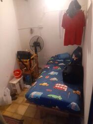 Jalan Singa (D14), Terrace #578245281